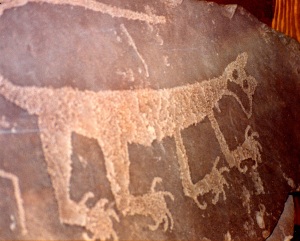 ancient cougar drawing